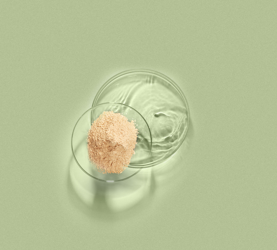 好博官网-钻营健全,你我一路成长