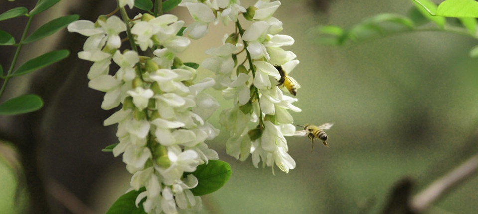 好博官网-钻营健全,你我一路成长
