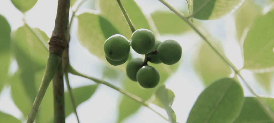 好博官网-钻营健全,你我一路成长