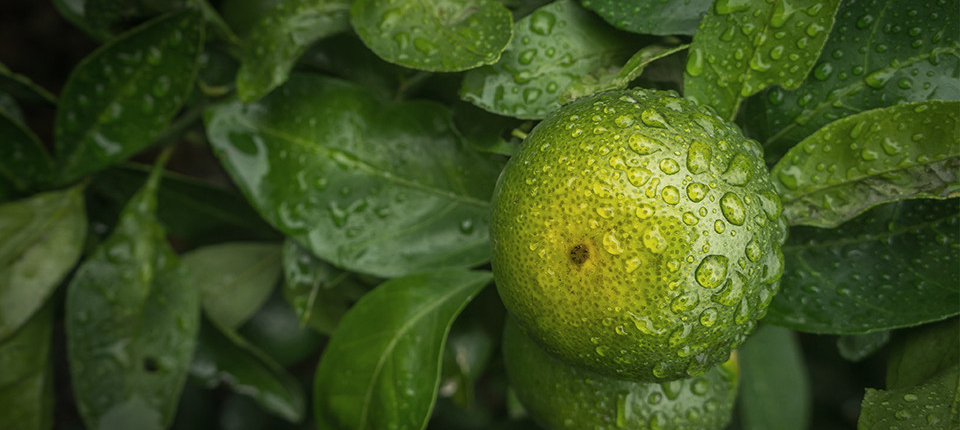 好博官网-钻营健全,你我一路成长